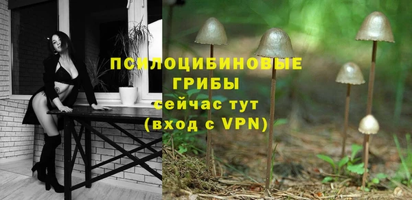 ALPHA PVP Алексеевка