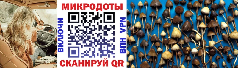 Галлюциногенные грибы прущие грибы Славск